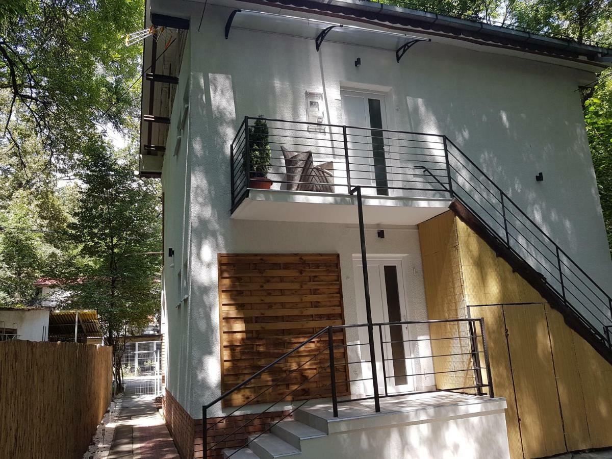 Forest Apartman Apartman Makó Kültér fotó